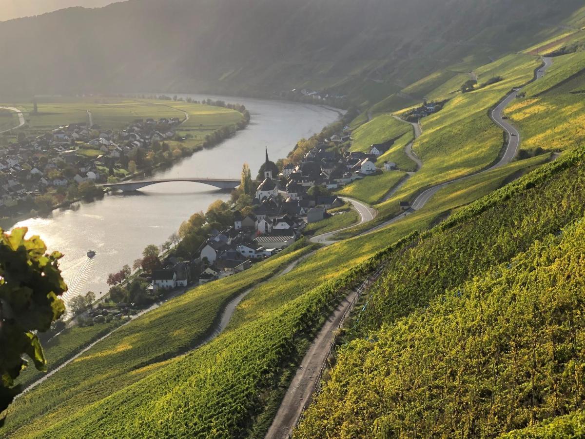 Weingut Lehnert-Spaeter Piesport Eksteriør bilde